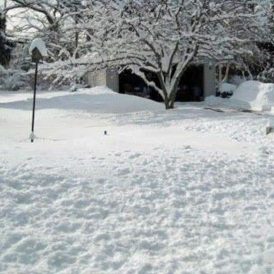 Our January Vacation Image